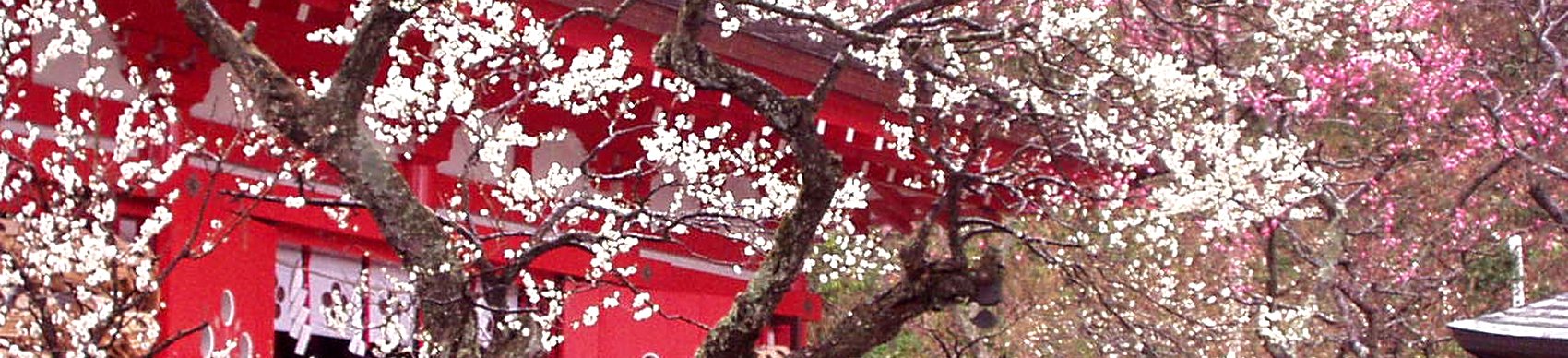 荏柄天神社 境内のご案内